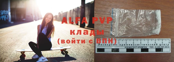 гашик Бородино