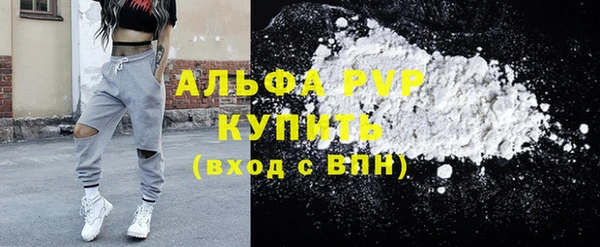 гашик Бородино