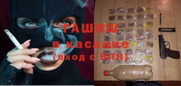 гашик Бородино